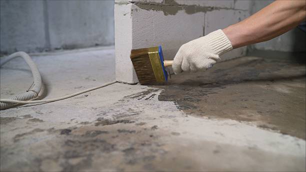 Top rated local Wet Basement Repair specialists in Burke, VA
